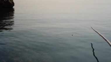 Denizde balık tutmak. Ev yapımı bambu oltası. Soldaki kaya. Şamandıra batıyor, balık oltaya takıldı. Temiz su