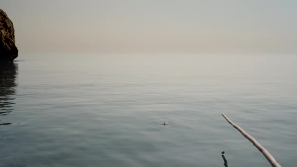 Fiske Havet Hemlagad Bambufiskespö För Fiske Stenen Till Vänster Flyt — Stockvideo