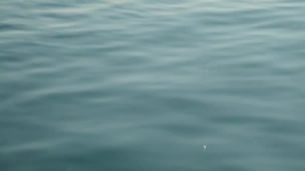 一个穿着泳衣的女孩正在海里钓鱼 她用手捂住脸 望着水面上的浮子 — 图库视频影像