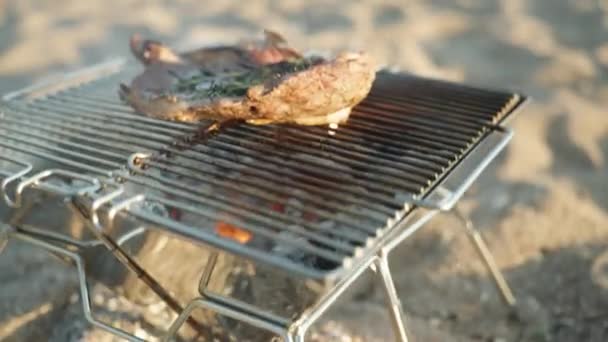Piknik Tengerparton Steak Sült Grillen Kilátás Tengerre Nap Már Majdnem — Stock videók