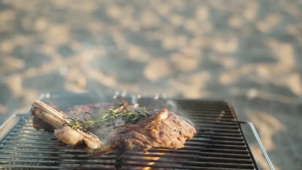 海でビーチでピクニック ステーキが焼けています ローズマリーと火の泉 — ストック動画