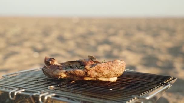 Deniz Kenarında Piknik Biftek Taşınabilir Bir Izgarada Pişiriliyor Etten Yağ — Stok video
