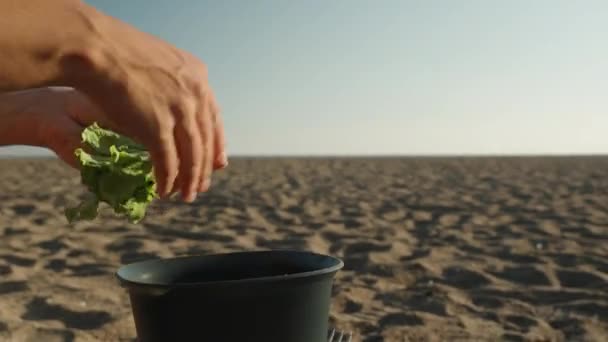 Piknik Pantai Dekat Laut Saya Memotong Daun Selada Menjadi Mangkuk — Stok Video