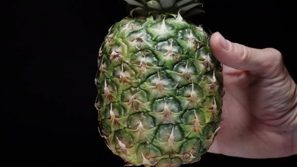 菠萝慢慢地旋转 我把它握在手里 在黑色的隔离背景上 — 图库视频影像