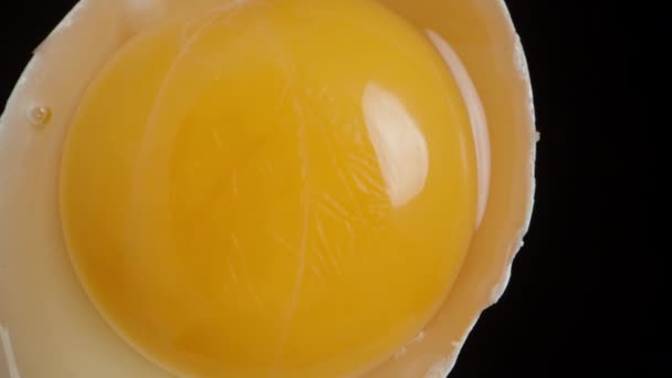 Tavuk Yumurtasının Yarısı Siyah Arka Planda Dönüyor Sarısı Yakın Plan — Stok video
