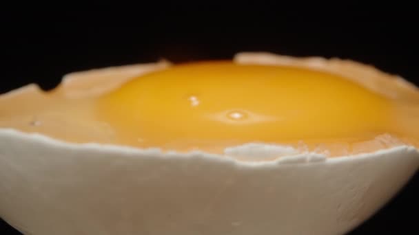 鶏卵の半分は黒い背景に回転し 卵黄を閉じています サイドビュー — ストック動画