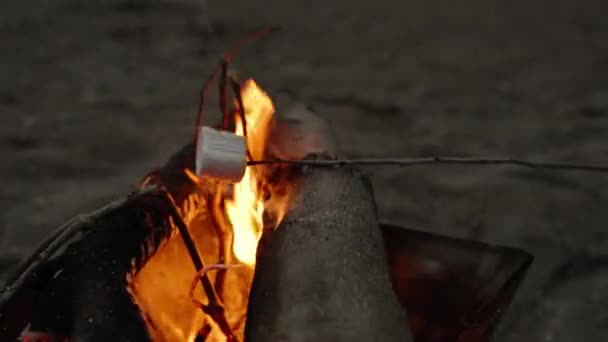 Smažíme Marshmallows Pláži Večerní Piknik Moře Kamera Pohybuje Kolem Táboráku — Stock video