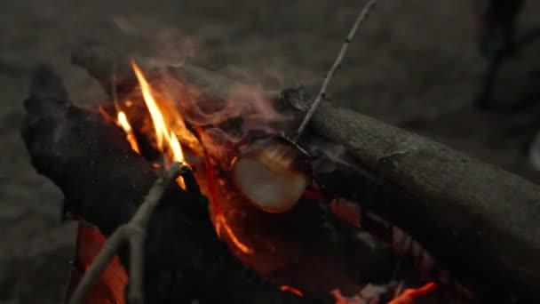 Fry Marshmallows Beach Evening Picnic Sea Camera Moves Campfire Slow — Stock Video