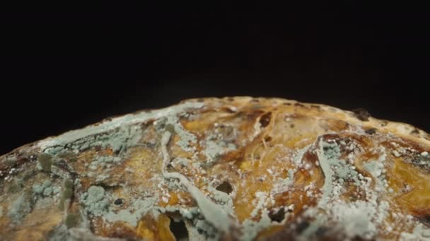 Setengah Manja Dari Jeruk Keprok Dalam Cetakan Berputar Pada Latar — Stok Video