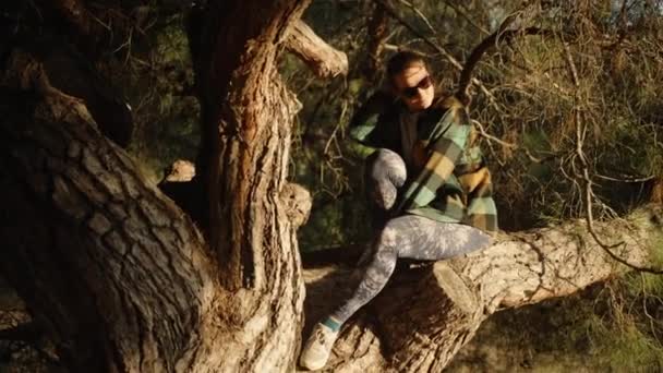 Молодая Женщина Косой Клетчатой Рубашке Очках Сидящая Сосне Лесу Глядящая — стоковое видео