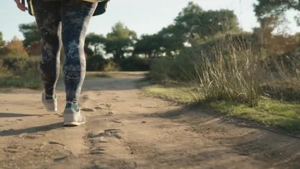 Молодая Женщина Леггинсах Кроссовках Ходит Песчаной Дороге Лесу Заходящему Солнцу — стоковое видео