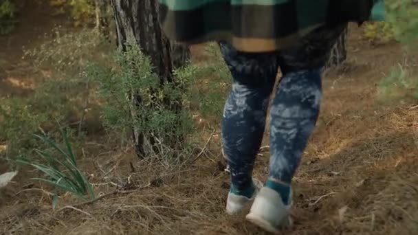 森林里的一个年轻女子用干枯的云杉针扎着松树 沿着斜坡跑了下去 — 图库视频影像