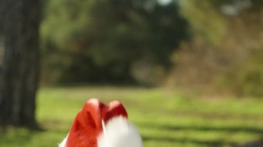 Kırmızı Noel Baba şapkalı genç bir kadının portresi hapşırır ve şapkası gözlerinin üzerinde yuvarlanır. Ormanda sıcak ve güneşli bir Noel..