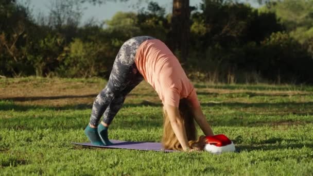 Yoga Een Zonnig Bos Met Kerstmis Een Jonge Vrouw Legging — Stockvideo
