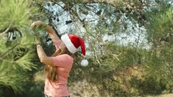 Een Jonge Vrouw Met Een Kerstmuts Plukt Een Tak Met — Stockvideo