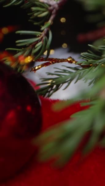 Κάθετο Βίντεο Μικρά Χριστουγεννιάτικα Στολίδια Μούρα Και Ξυλάκια Κανέλας Για — Αρχείο Βίντεο