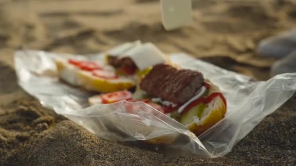 Piquenique Praia Beira Mar Coloquei Queijo Carne Pão Com Legumes — Vídeo de Stock