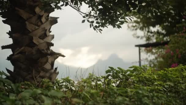 Vista Das Montanhas Através Palmeiras Vegetação Foco Muda Para Fundo — Vídeo de Stock