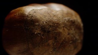 Yenilebilir kestane kestanesi siyah arka planda dönüyor, yakın plan, düşüyor. Dolly yakınlaştır