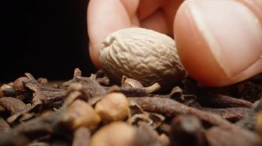 Hindistancevizi bir avuç karanfil üzerinde yatıyor. İnceledim ve aldım. Siyah arkaplan, yakın plan.