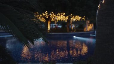 Palmiye ağaçları ve gece aydınlatmalı mavi bir havuz. Arka planda fener olan ağaçlar.