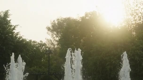 Pôr Sol Parque Rompe Árvores Ilumina Uma Fonte Alta — Vídeo de Stock