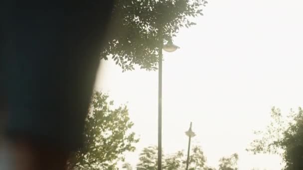 Eine Junge Frau Geht Durch Das Herabgefallene Laub Park Strahlender — Stockvideo