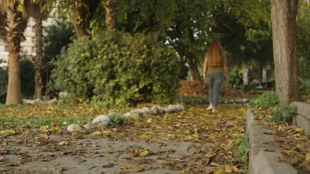 公園の道に黄色い葉が落ちている 若い女性はそれに沿って離れて行きます — ストック動画