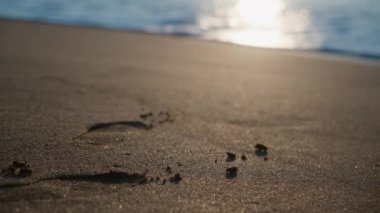 Şafakta Alçak Güneş. Sandy Sea Sahili. Dalgalardaki güneş ışınları. Eğik atış