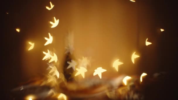 温馨舒适的圣诞气氛在家里 节日餐桌 食物和香槟 在闪烁的花环中 星形模糊的Bokeh效应与聚焦技术的关系 — 图库视频影像