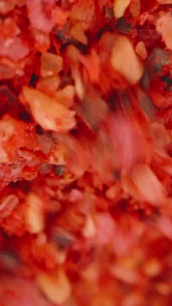 Saco Una Cuchara Frasco Especias Rojas Calientes Vista Superior Dolly — Vídeo de stock