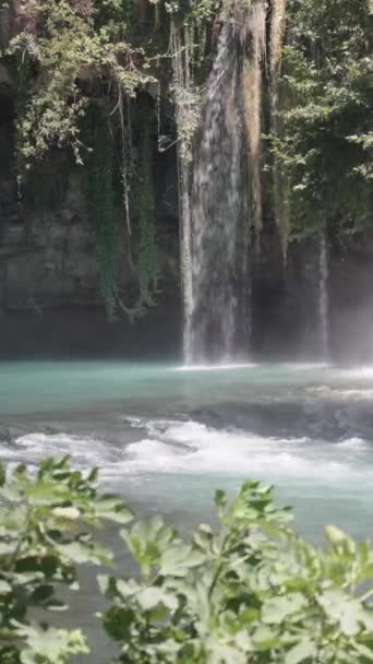 滝は山の川に流れていきます 太陽はターコイズの水を照らしています ソーシャルメディア — ストック動画
