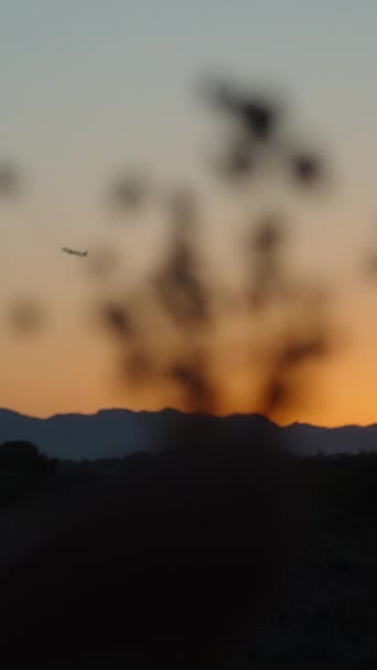 Cielo Naranja Atardecer Sol Detrás Montaña Joven Recoge Flores Avión — Vídeos de Stock