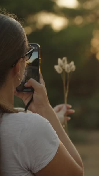 Młoda Kobieta Strzela Telefonu Zerwała Suche Krzaki Lagurusa Zachodzie Słońca — Wideo stockowe