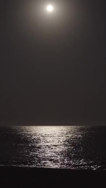 Velký Měsíc Uprostřed Rámu Osvětluje Oceán Vlny Břehu Svislá Sociální — Stock video