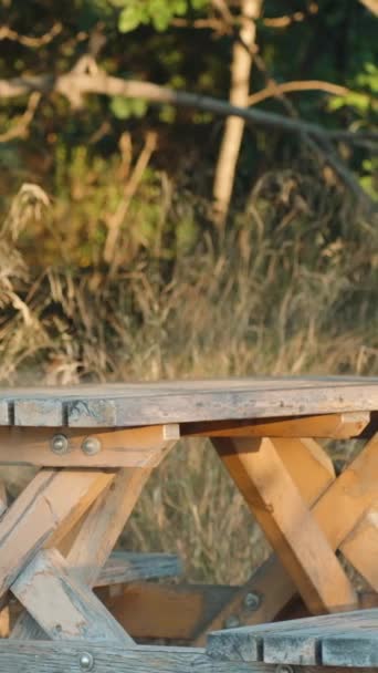 Młoda Kobieta Okularach Słonecznych Siedzi Ławce Przy Stole Tle Drzew — Wideo stockowe