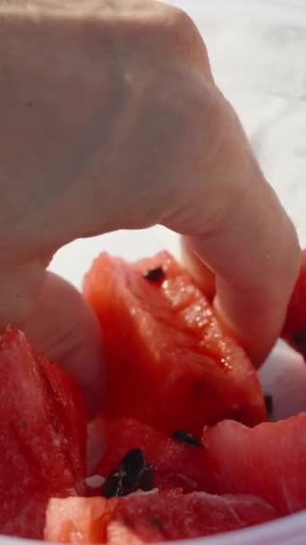 Wir Nehmen Wassermelonenstücke Aus Einem Plastikbehälter Strand Vertikal Social Media — Stockvideo