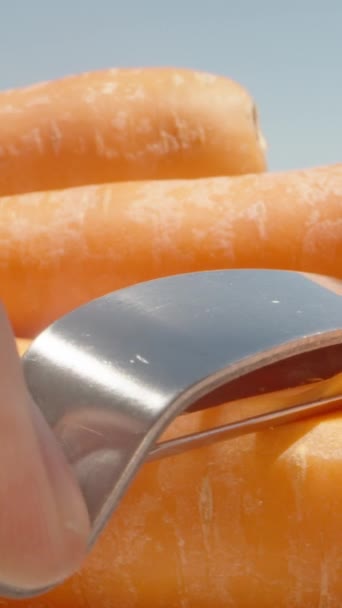 Zanahorias Frescas Crudas Las Pelo Con Cuchillo Verduras Vista Lateral — Vídeos de Stock
