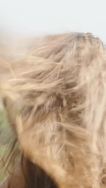 Die Junge Frau Bläst Ihre Langen Haare Den Wind Sie — Stockvideo