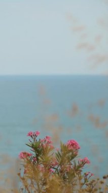 Uçurumdan çiçeklerin arasından deniz manzarası. Güneş Günü Dikey. Sosyal Medya