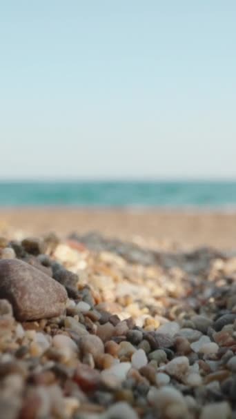 Een Zonnebril Ligt Het Zand Tegen Achtergrond Van Zee Man — Stockvideo