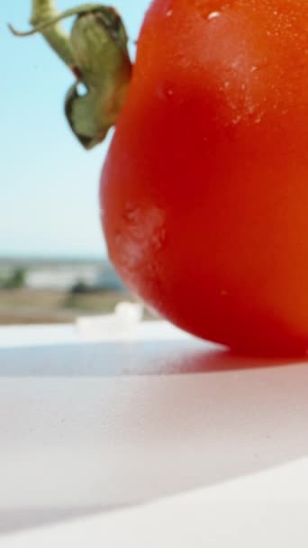 Camera Glijdt Onder Tomaten Tak Blauwe Lucht Dolly Verticaal Sociale — Stockvideo