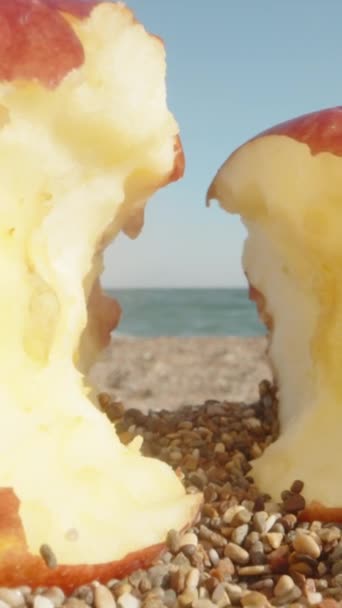 Zwei Angebissene Äpfel Liegen Auf Dem Sand Das Meer Ist — Stockvideo