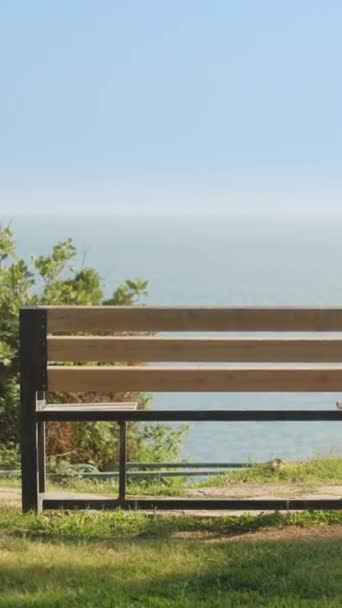 Eine Leere Holzbank Der Küste Meerblick Sommer Sonniger Tag Urlaub — Stockvideo
