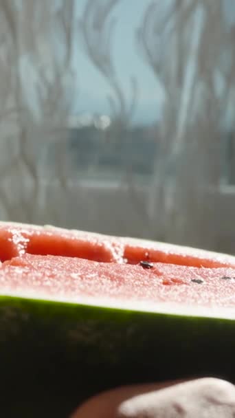 Eine Große Saftige Wassermelone Der Sonne Die Junge Frau Steckt — Stockvideo