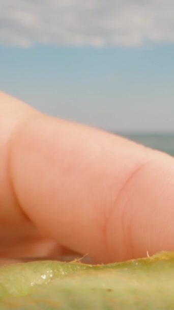 Svisle Kiwi Leží Talíři Kamera Víc Než Půl Kiwi Jím — Stock video