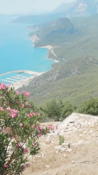 Dağdan Denize Kadar Manzara Limana Park Etmiş Yatlar Çalıların Arasından — Stok video