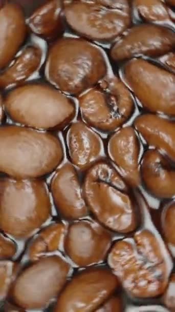 烤整个咖啡豆 在饮料中漂浮和旋转 宏观射击 慢动作垂直视频 — 图库视频影像
