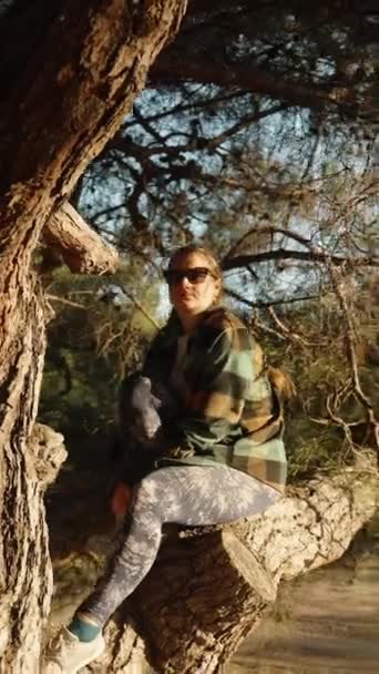 若い女性がメガネをかけた白いシャツを着て 森の松の木の上に座り 日差しを見ている 垂直ビデオ ソーシャルメディア — ストック動画