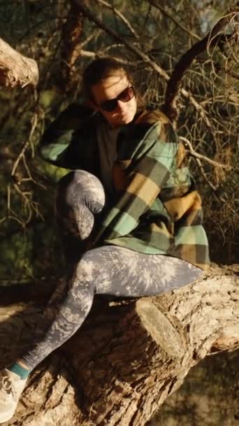 一个穿着格子衬衫 戴着眼镜 头戴镰刀的年轻女子 坐在森林里的松树上 望着太阳 垂直视频社交媒体 — 图库视频影像